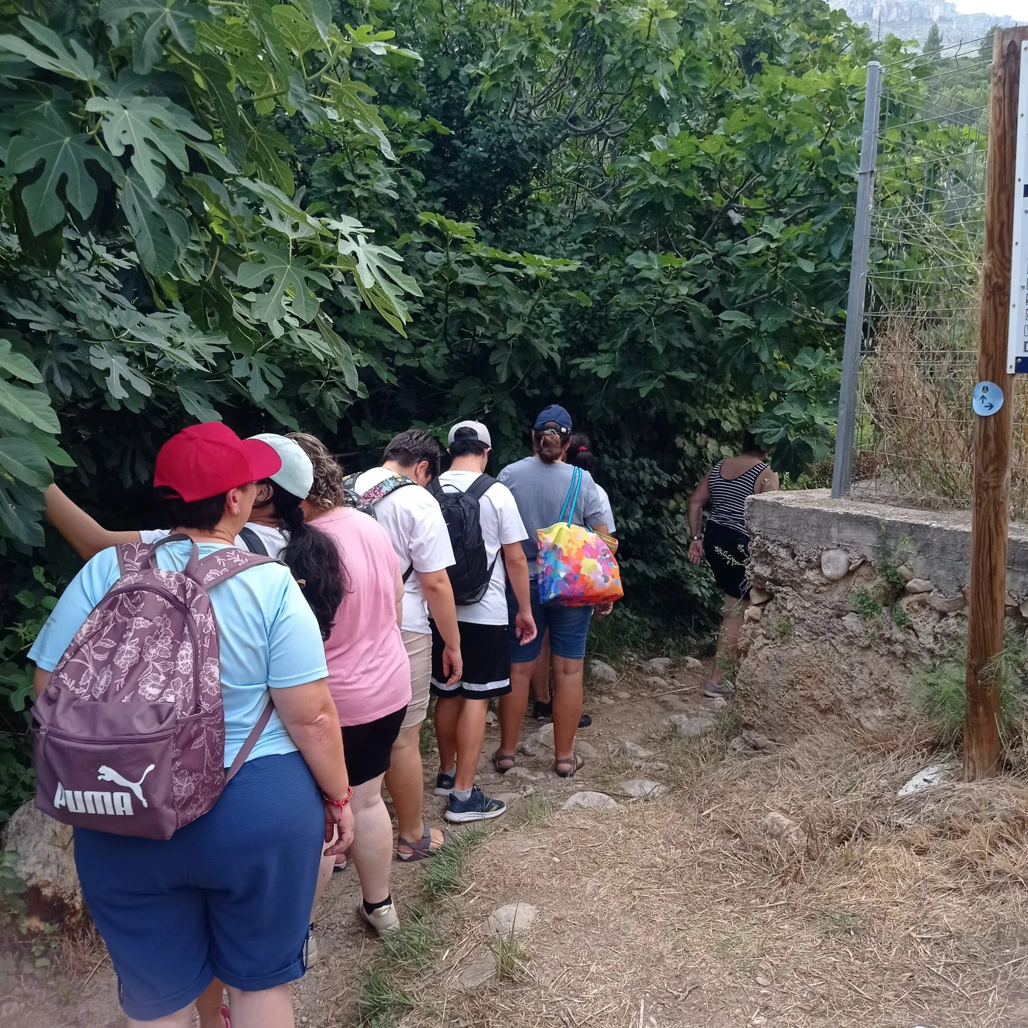 Grupo de fenomens de excursión